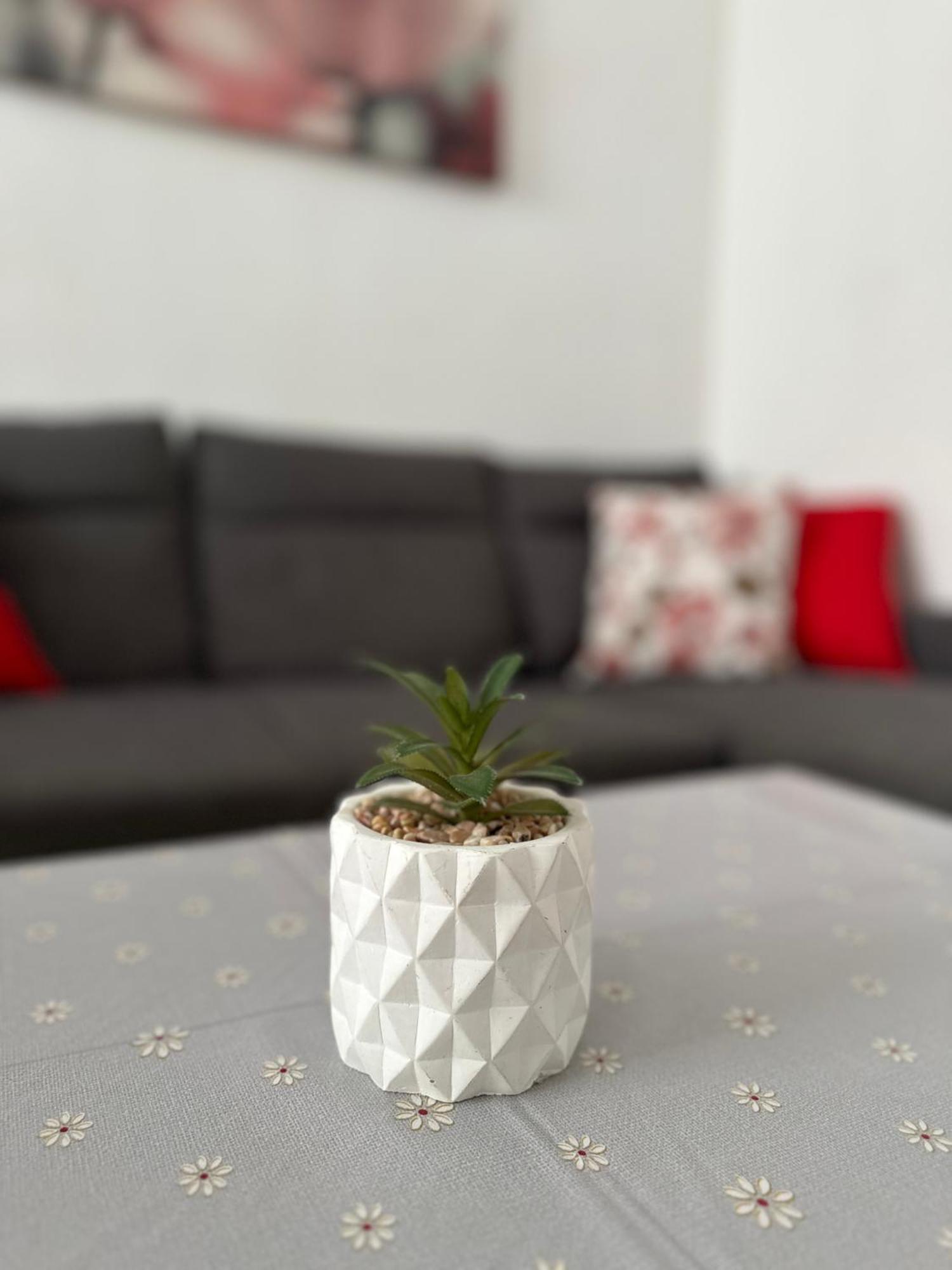 Modern And Bright 5 Bedroom Apartment Del Prado Gandía Buitenkant foto